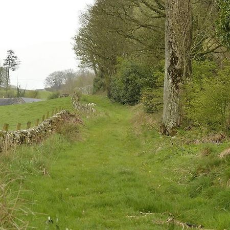Lochhill Stable Lodge Castle Douglas ภายนอก รูปภาพ